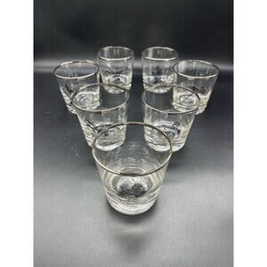 Vintage MCM Sportsman Game Birds Set of 7 Federal Whiskey Glasses Silver Rim